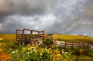 Corral landscape-6654 Corral landscape-6654